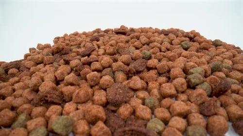 Pile of Dry Pet Food Close Up on White