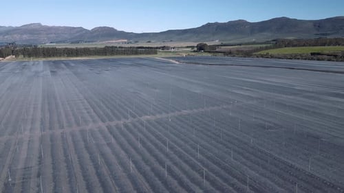 Aerial. Agricultural protective farm netting covering crops in beautiful mountain valley.