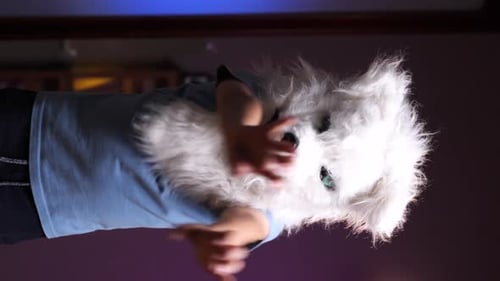 Child Wearing a White Animal Mask