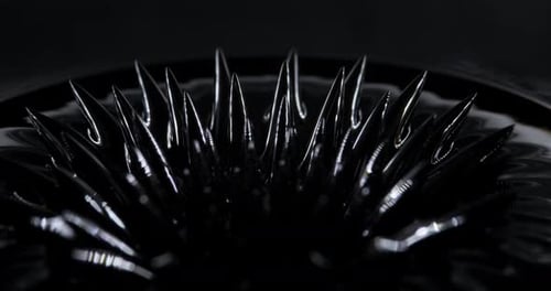 Magnetic Fluid