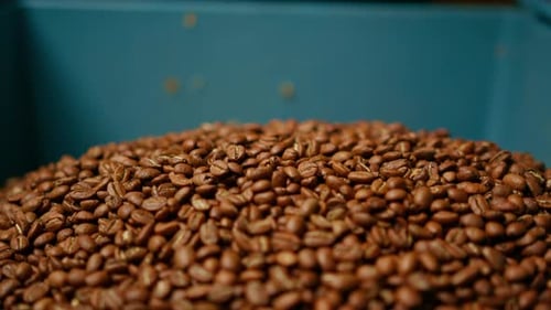 Coffee Beans Piling in a Blue Container