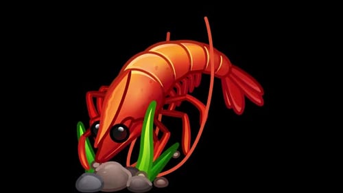 Animated Cartoon Shrimp Swimming Loop