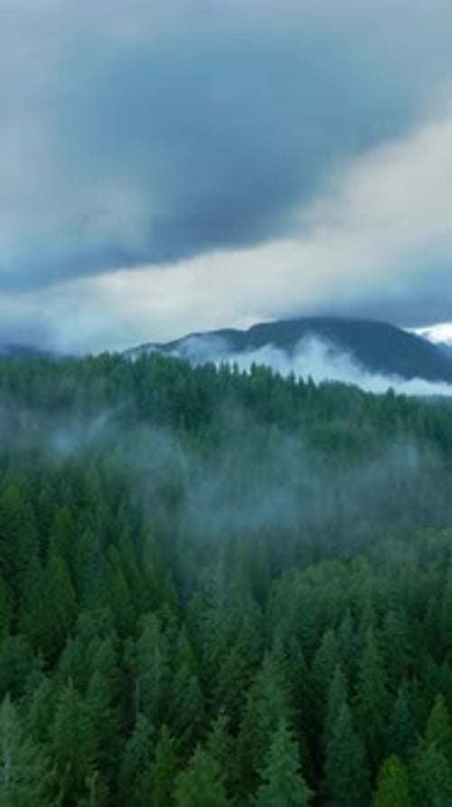 Aerial View of Beautiful Mountain Landscape Fog Rises Over the Mountain Slopes