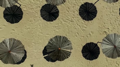 Wooden Sunshade Umbrellas on a Beach