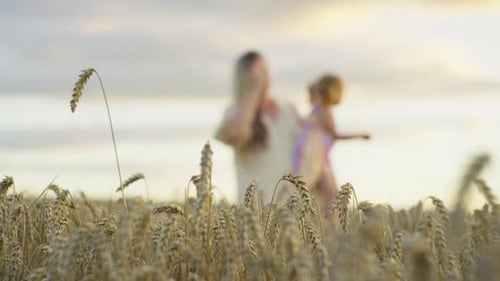 Against the Background of the Sunset a Mother and Daughter in a Field of Wheat
