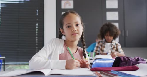 Portrait of happy diverse schoolchildren at desks in school classroom