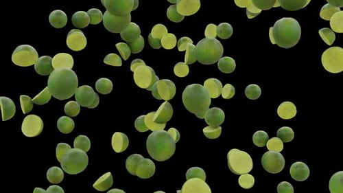 Limes Rain Down on Black Backdrop