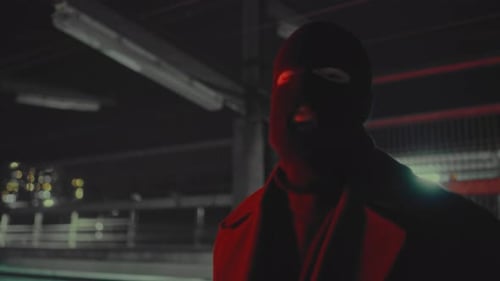 Bad Criminal