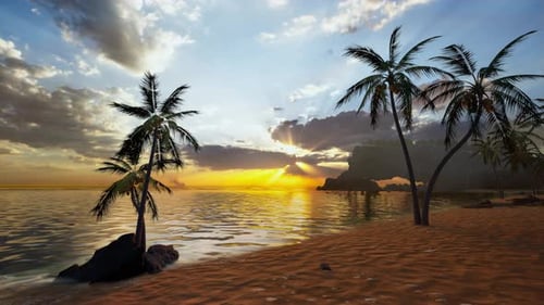 Sunrise On Tropical Island Sea Beach, Calm Ocean Sunset, Palm Tree Leaves Silhouette