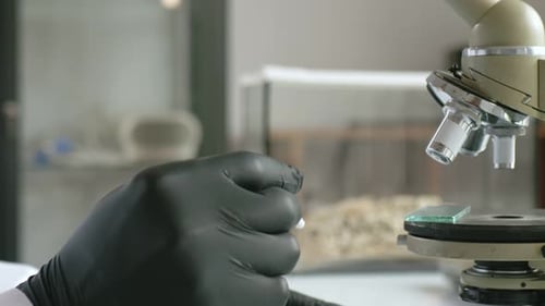 Scientist Works with Microscope in Research Laboratory