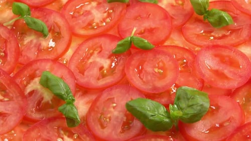 Sliced fresh tomatoes with fresh basil leaves like tomato carpaccio rotate as background
