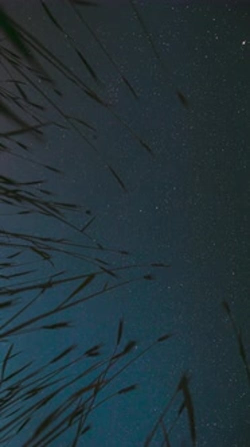 Night Starry Sky With Glowing Stars And Meteoric Track Trails Above Green Young Wheat Field In