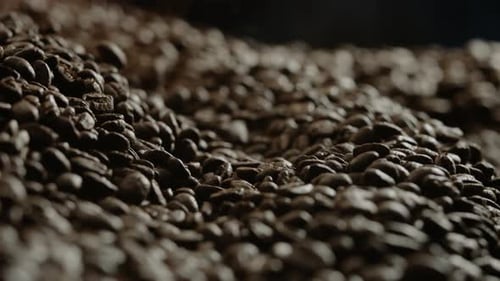 Pile of Roasted Coffee Beans Close Up
