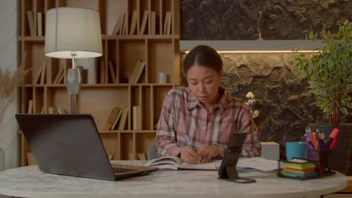 Pretty African American Businesswoman with Laptop Working at Home Office