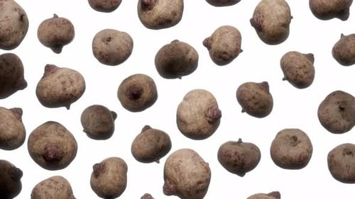 Rotating Organic Root Vegetables Background Loop