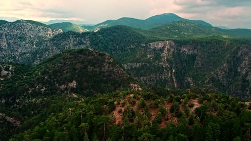 Natural Jungle Hills Landscape