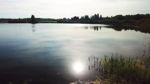 Nature Of Lake Misnitsko 13