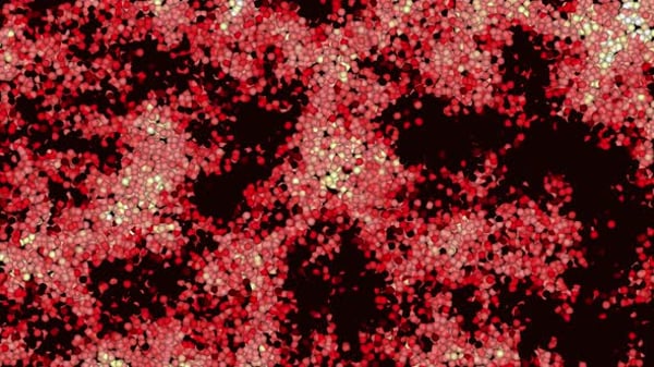 Modern Reflection Map Texture | Liquid Fractual Background Animation ...