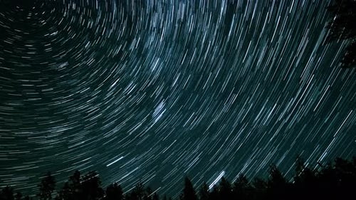 Night Sky Filled with Star Trails Above a Forest Landscape