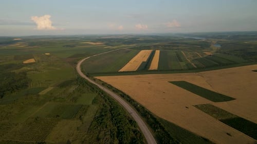 Video Drone Flying Over Road Between Green Agricultural Fields During Dawn Sunset