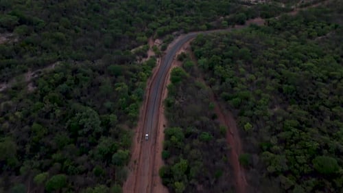 Drone clip of a vehicle driving along a dirt road in green lush bush