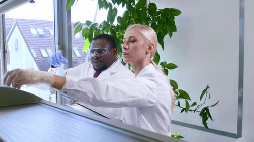 Scientists Examining Flask in Bright Laboratory