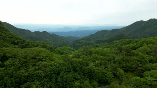 Stunning forward drone scenery over wide lush green forest and hills