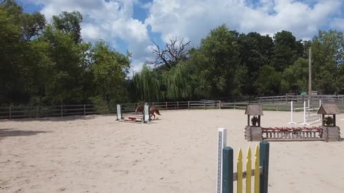 Pony Jumping in Horse Arena
