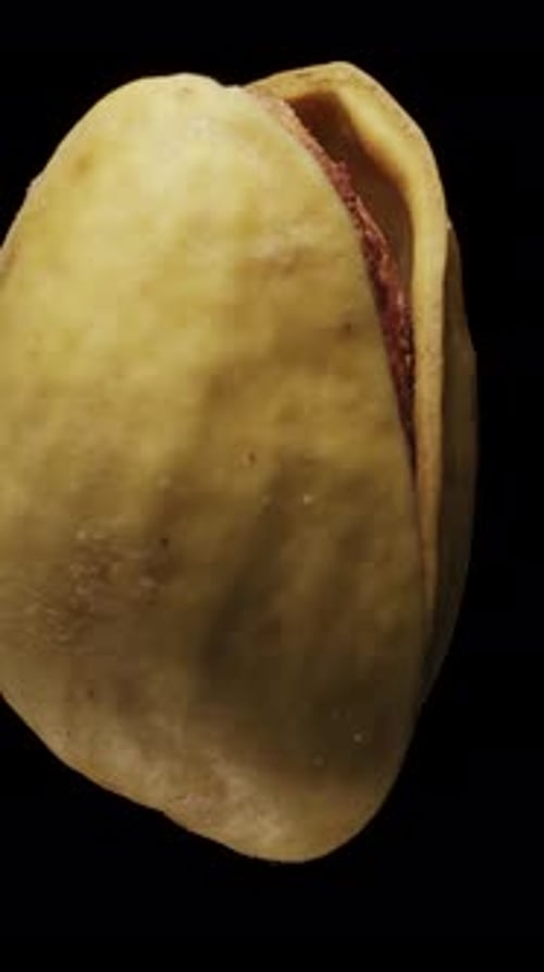One pistachio in shell. Rotates. Close-up. Black background Vertical video.