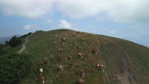 Cow Mountain Aerial View