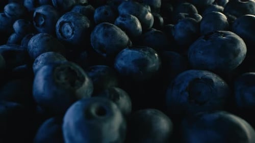 Extreme Macro Blueberries Background Fresh Ripe Summer Organic Berries Harvest