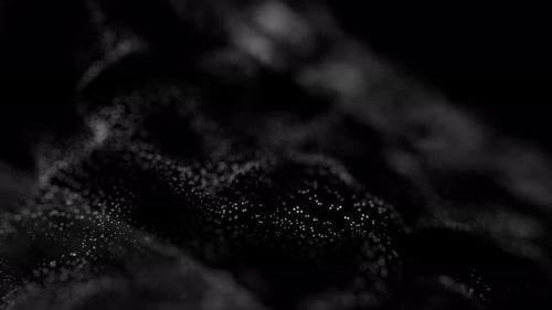 White Particles