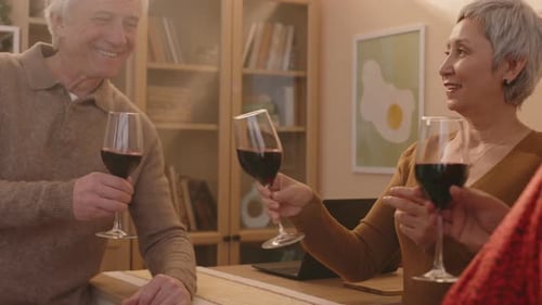 Friends Toasting Wine at Happy Celebration