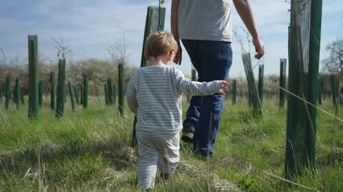 Toddler boy follows dad through field of trees, father walks in front
