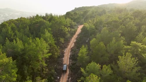 Black Car Drives in Scenic and Colorful Forest in the Fall Season Aerial Track