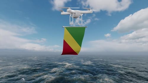Zumbido sobrevolando el océano con la bandera del Congo