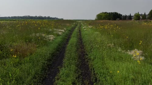 Drone Flying Low Over Dirt Farm Trail Tire Tracks Green Field Trees Distance