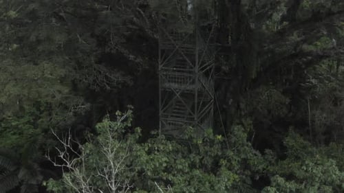 Torre turística como parte de un albergue ecológico, los turistas suben para observar el dosel y los animales.