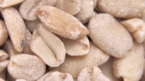 Hot Roasted Peanuts Spins Shelled Peanuts Ground Nuts