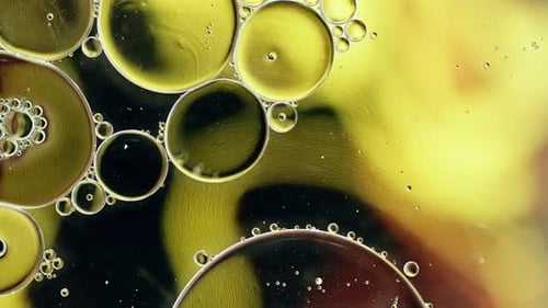 Macro Abstract Liquid Oil Droplets Bubbling