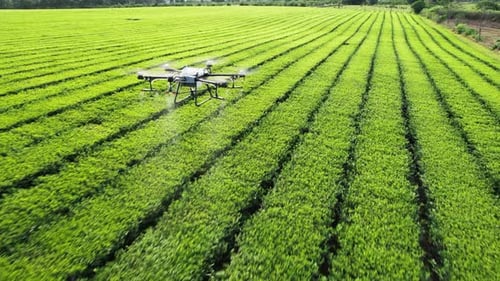 Drone DJI flight over a green field spraying following shot
