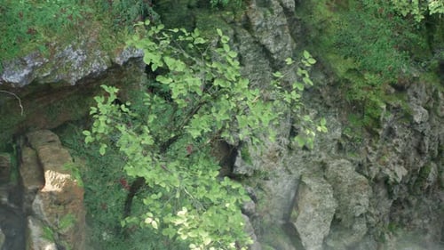 Tranquil Rocky Landscape With Lush Trees