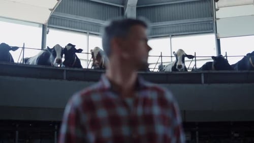 Portrait d'un fermier debout dans une salle de traite en train de regarder un système automatisé obtenir du lait