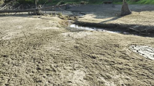 Flying Above Dried River And Fallen Trees With Sun Shining An Aerial Shot