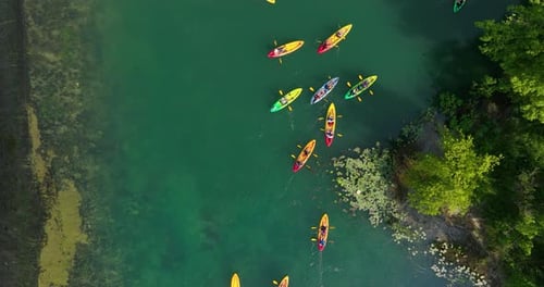 Aerial top view of a group of people kayaking on a river with green trees nearby.