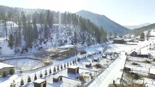 Aerial View of Snowy Mountain Resort with Animals