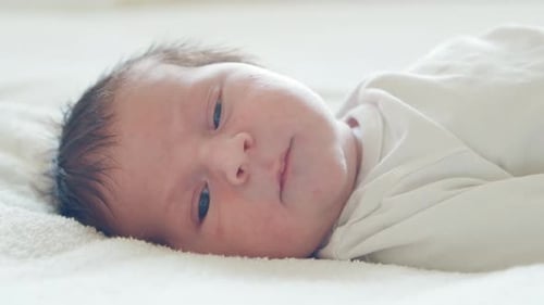 Closeup Portrait of a Young Baby Who Has Recently Been Born Newborn Infant Boy at Home Window Light