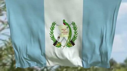 Drapeau vertical agitant le Guatemala
