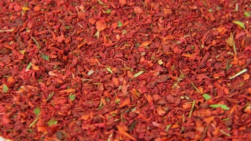 Aromatic Red Spice and Herb Blend Close Up
