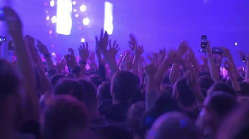 Happy fans dancing with hands up at rock concert